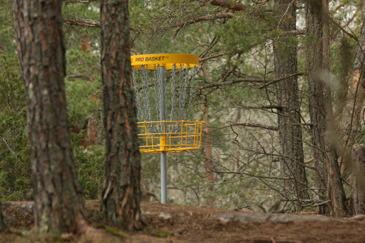 How Many Discs Do Disc Golfers Lose? The Real Cost of Lost Plastic | Beacon Disc Golf - Beacon Disc Golf