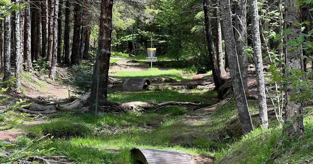 How to Play Wooded Disc Golf Courses Without Losing Discs | Beacon Disc Golf - Beacon Disc Golf