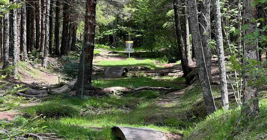 How to Play Wooded Disc Golf Courses Without Losing Discs | Beacon Disc Golf - Beacon Disc Golf
